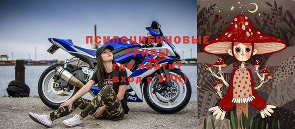 хмурый Ладушкин