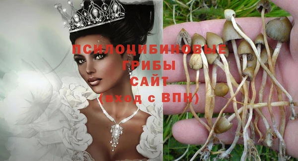 MDMA Куйбышев