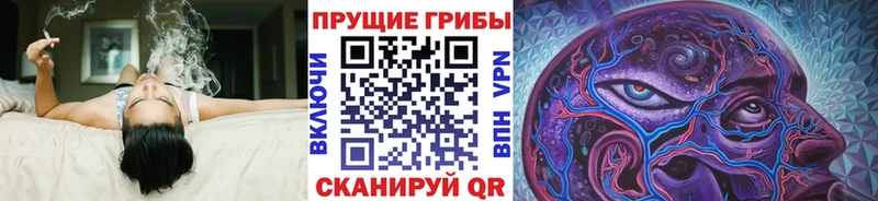 как найти закладки  Наволоки  Галлюциногенные грибы прущие грибы 